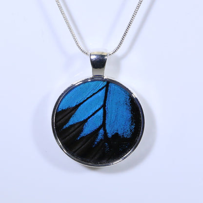 52007 - Real Butterfly Wing Jewelry - Pendant Collection - Blue Mountain Swallowtail