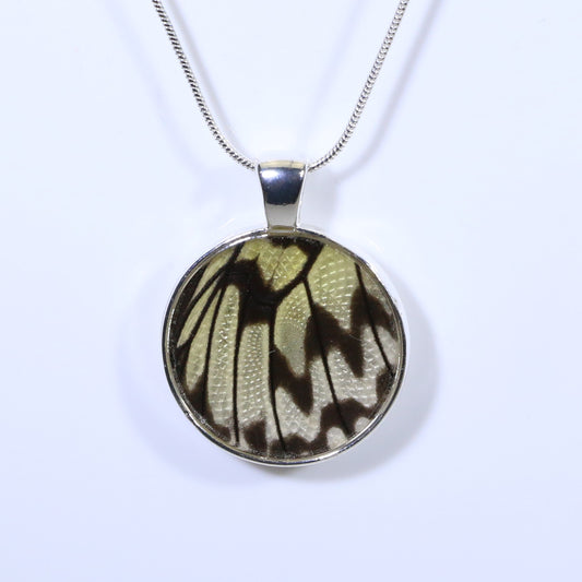 52339 - Real Butterfly Wing Jewelry - Pendant - Large Bale - Round - Paper Kite