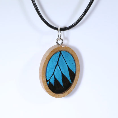 52007 - Real Butterfly Wing Jewelry - Pendant Collection - Blue Mountain Swallowtail