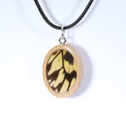 52009 - Real Butterfly Wing Jewelry - Pendant Collection - Paper Kite Butterfly