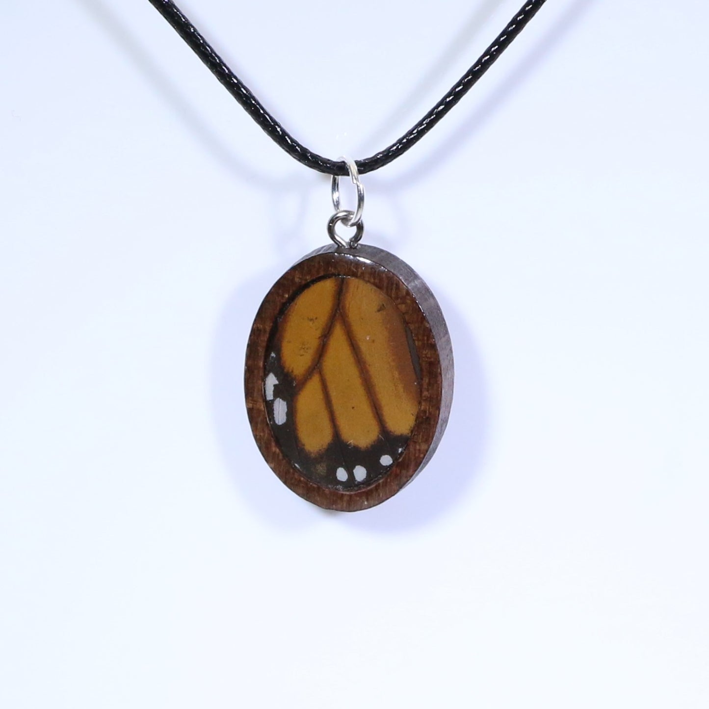 52614 - Real Butterfly Wing Jewelry - Pendant - Dark Wood - Oval - Plain - Monarch