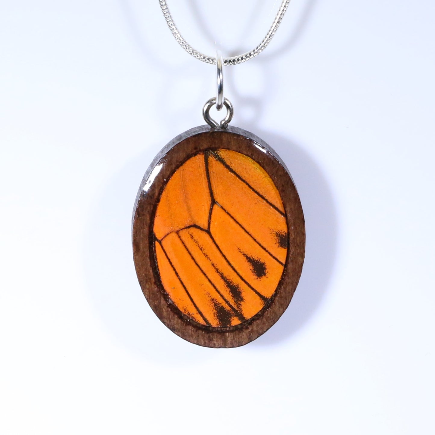 52615 - Real Butterfly Wing Jewelry - Pendant - Dark Wood - Oval - Plain - Hebomia - Orange