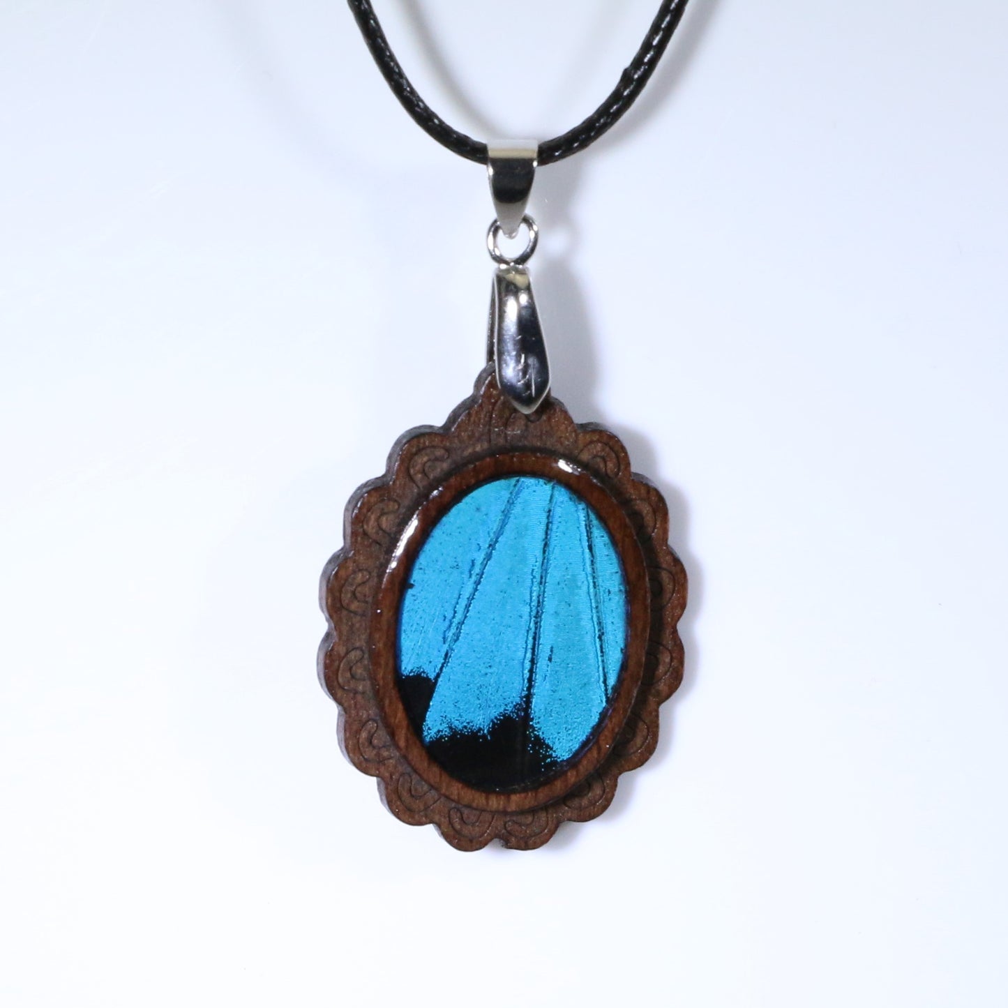 52717 - Real Butterfly Wing Jewelry - Pendant - Dark Wood - Oval - Filigree - Blue Mountain Swallowtail