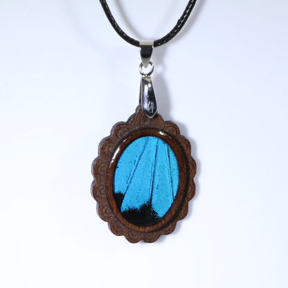 52007 - Real Butterfly Wing Jewelry - Pendant Collection - Blue Mountain Swallowtail