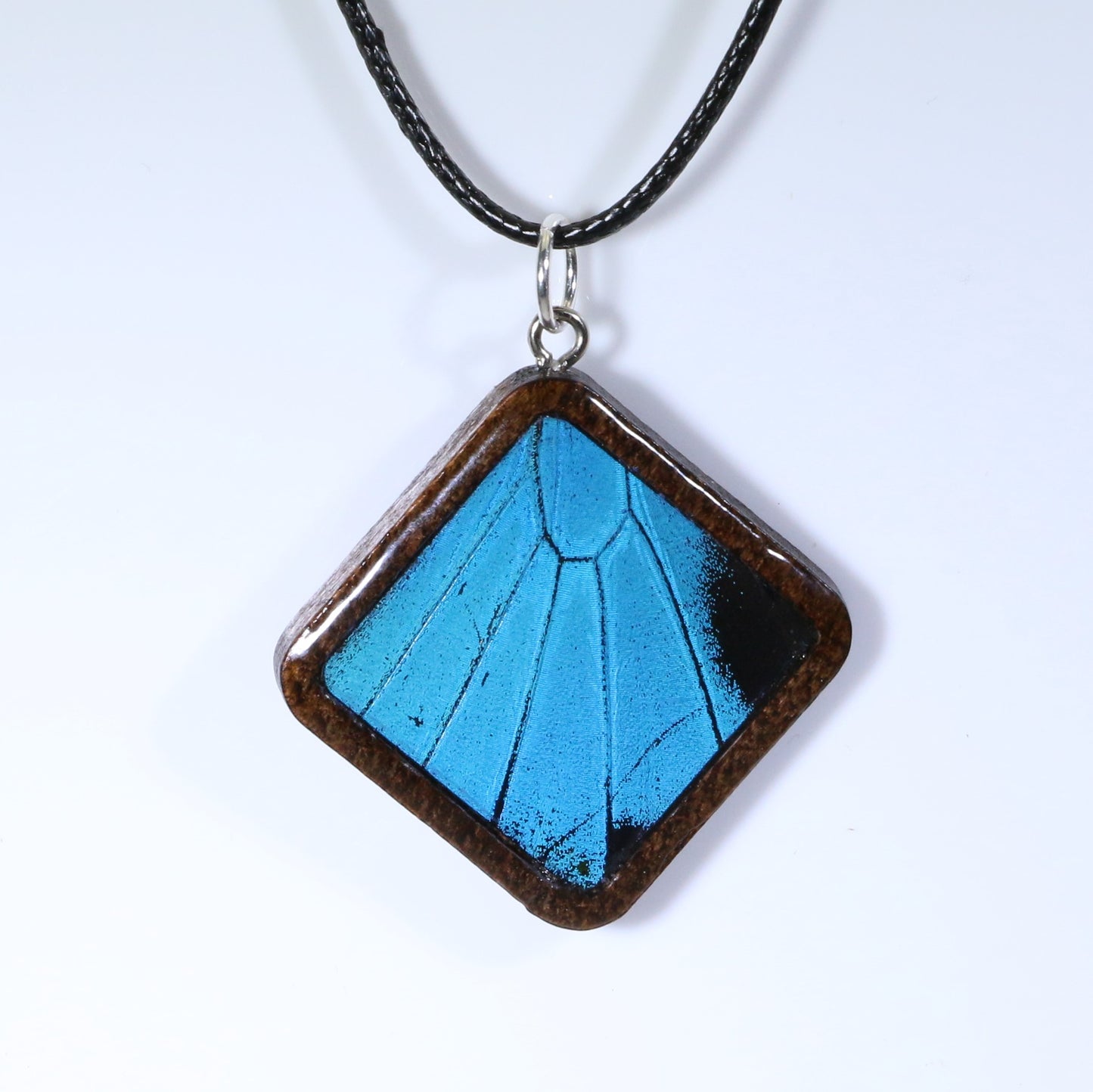 52917 - Real Butterfly Wing Jewelry - Pendant - Dark Wood - Large - Diamond Shape - Blue Mountain Swallowtail