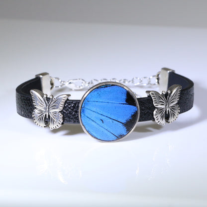 53107 - Real Butterfly Wing Jewelry - Bracelets - Round - Large - Butterfly Charms - Blue Mountain Swallowtail