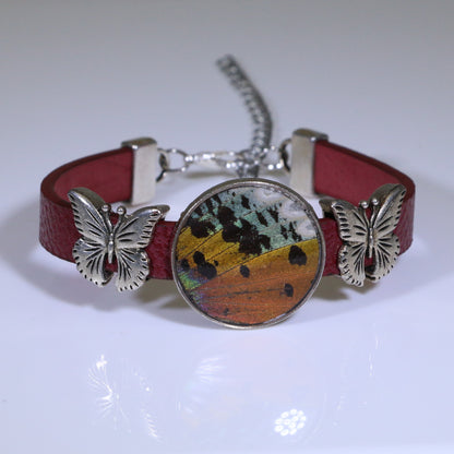 53002 - Real Butterfly Wing Jewelry - Bracelet Collection - Sunset Moth - Orange