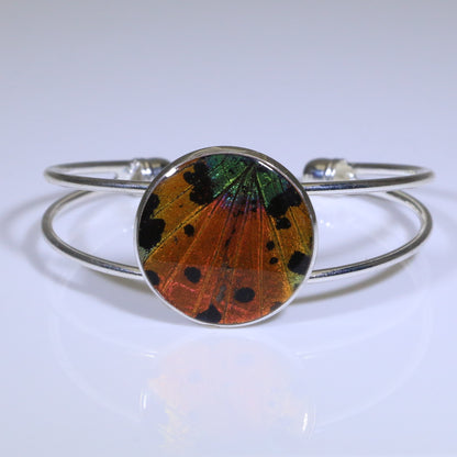 53002 - Real Butterfly Wing Jewelry - Bracelet Collection - Sunset Moth - Orange