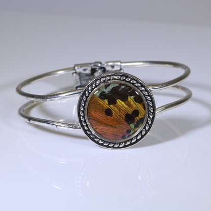 53002 - Real Butterfly Wing Jewelry - Bracelet Collection - Sunset Moth - Orange