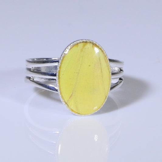 54106 - Real Butterfly Wing Jewelry - Rings - Small- Adjustable - Hebomia - Yellow