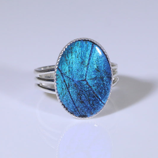 54001 - Real Butterfly Wing Jewelry - Ring Collection - Blue Morpho