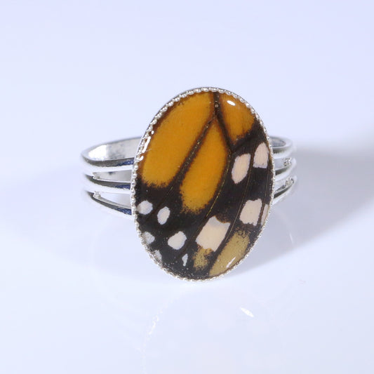 54204 - Real Butterfly Wing Jewelry - Rings - Medium - Adjustable - Monarch