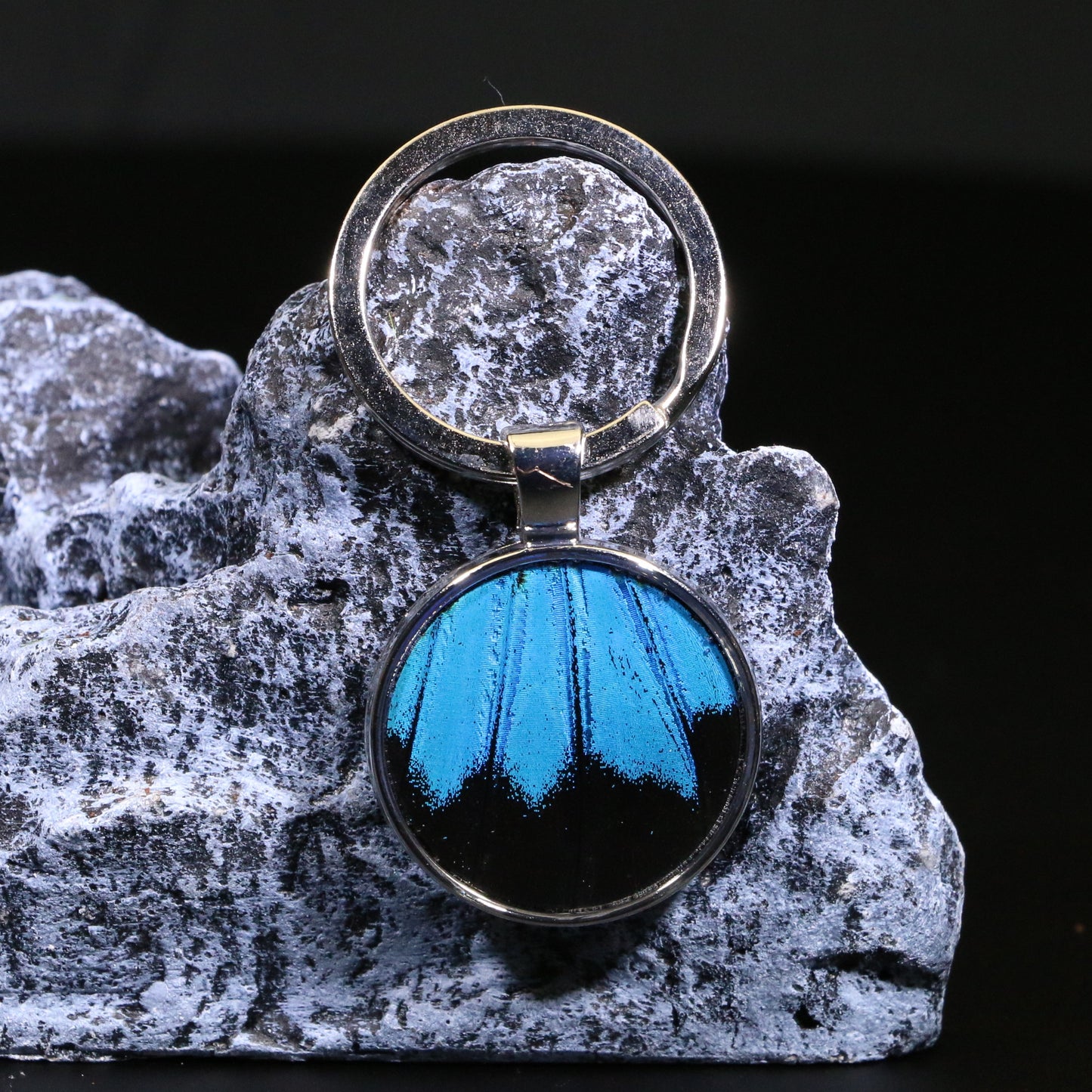 55107 - Real Butterfly Wing Jewelry - Keychain - 25mm - Blue Mountain Swallowtail