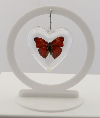 1111 - Red Glider Collection - Valentine's Day