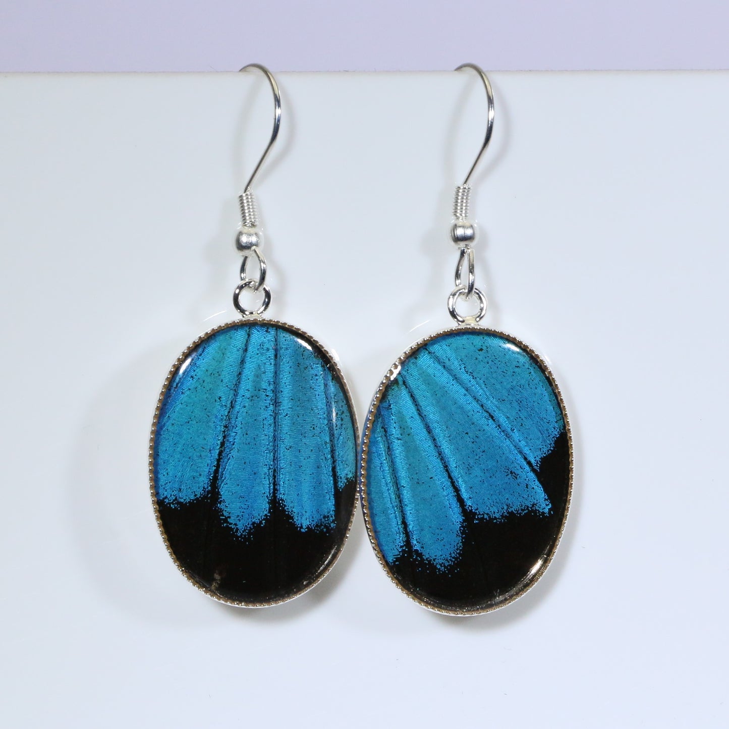 51207 - Real Butterfly Wing Jewelry - Earrings - Medium - Blue Mountain Swallowtail