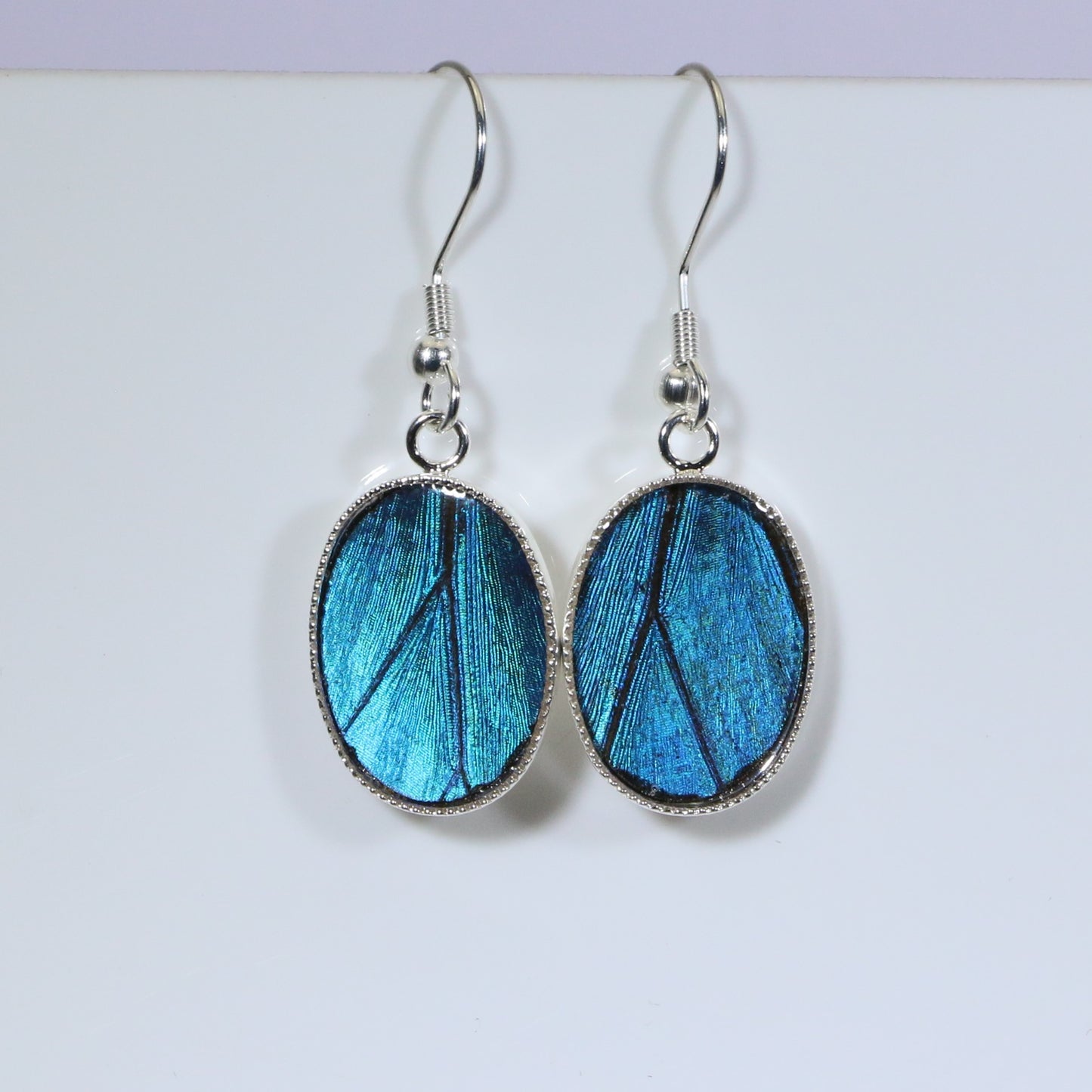 51101 - Real Butterfly Wing Jewelry - Earrings - Small - Blue Morpho