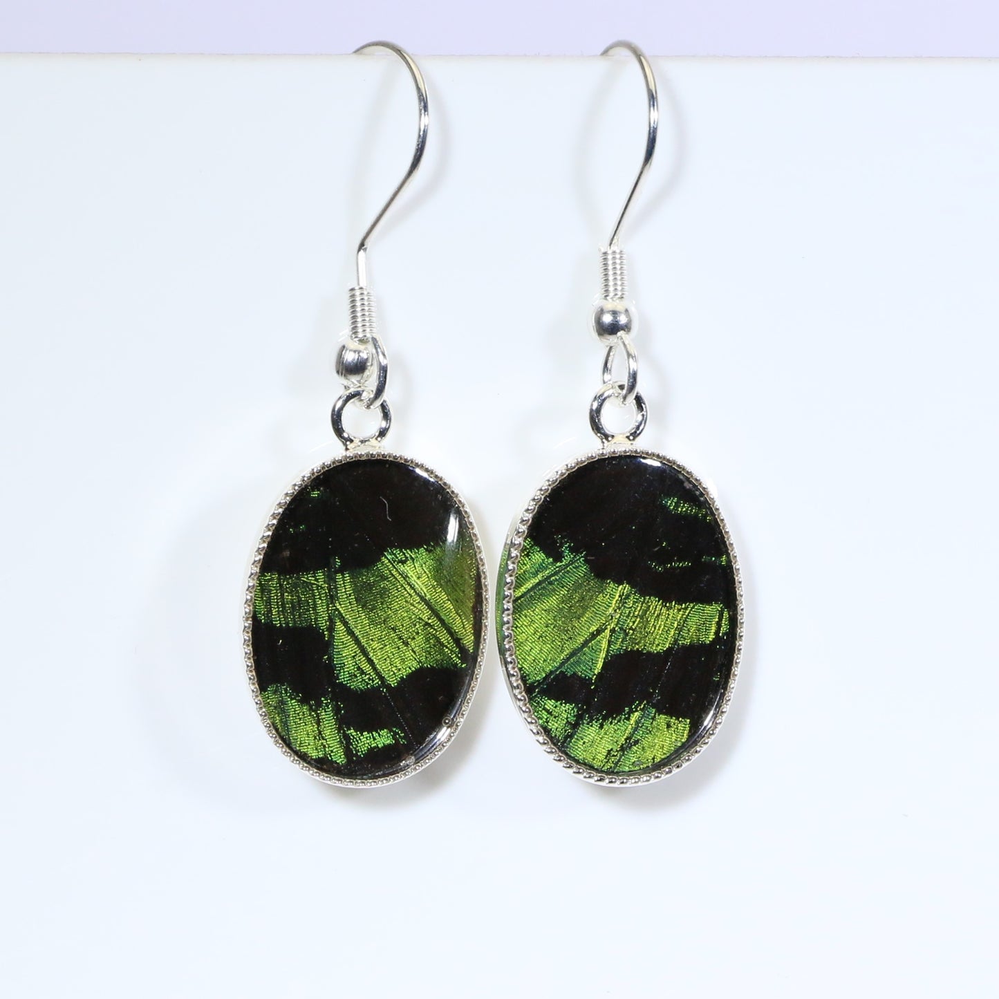 51103 - Real Butterfly Wing Jewelry - Earrings - Small - Sunset Moth - Green