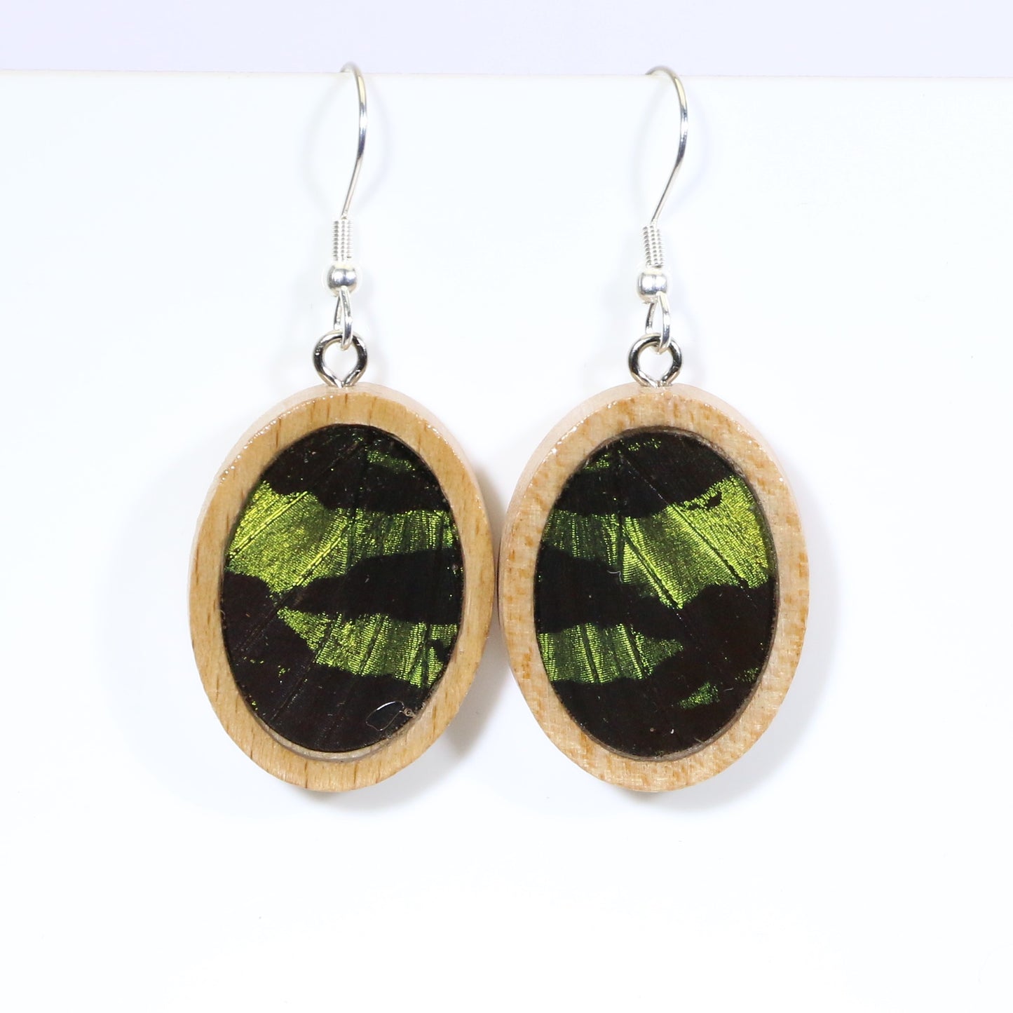 51603 - Real Butterfly Wing Jewelry - Earrings - Medium - Tan Wood - Oval - Plain - Sunset Moth - Green