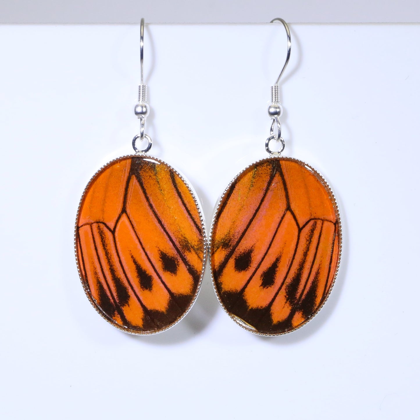 51305 - Real Butterfly Wing Jewelry - Earrings - Large - Hebomia - Orange