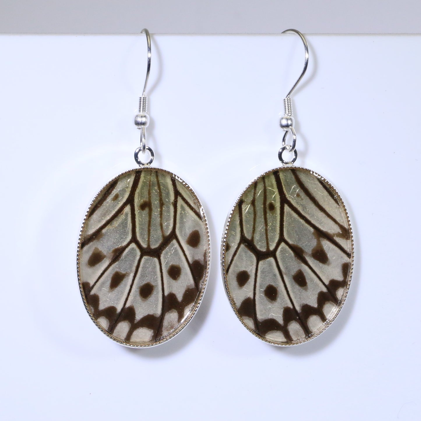 51309 - Real Butterfly Wing Jewelry - Earrings - Large - Paper Kite