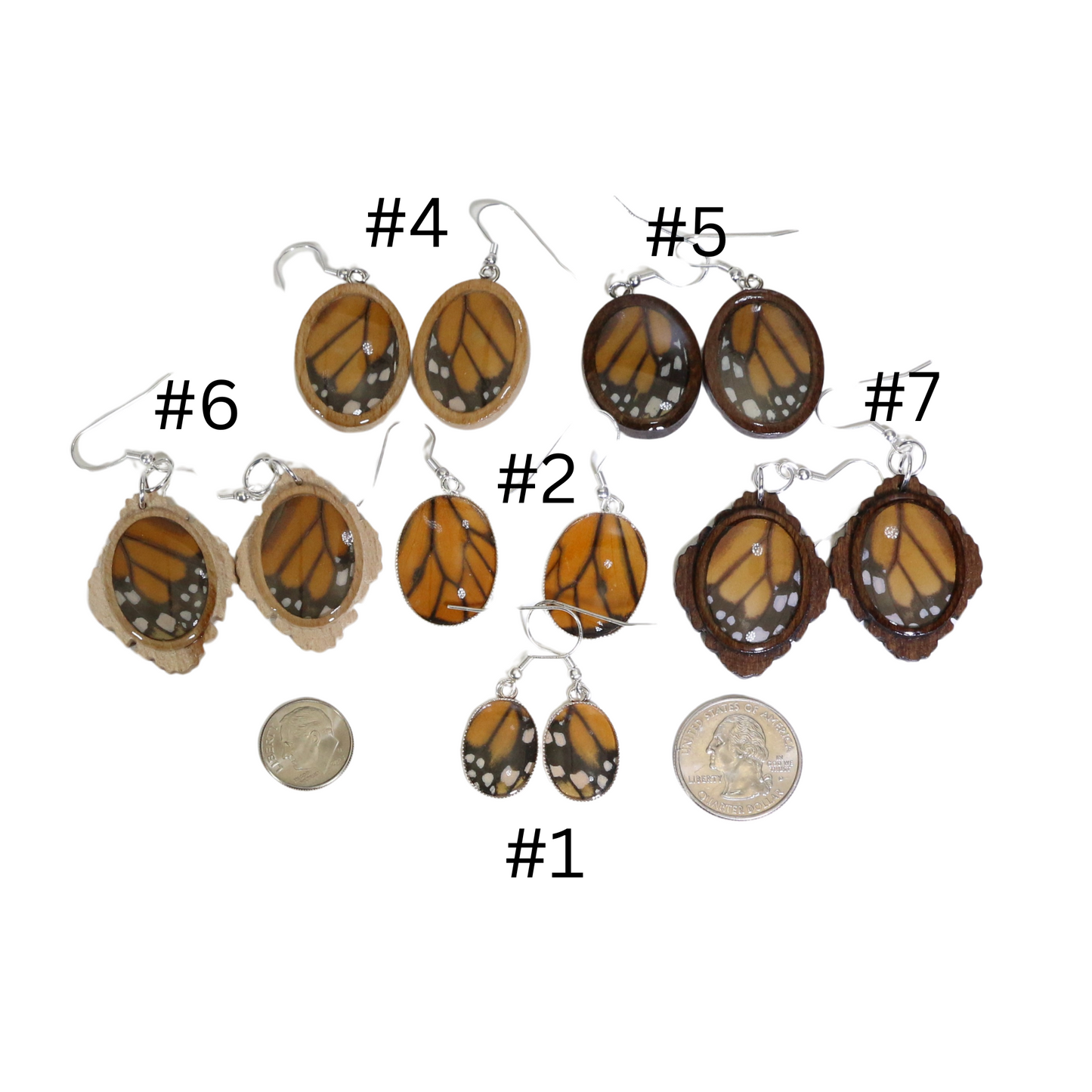 51004 - Real Butterfly Wing Jewelry - Earring Collection - Monarch Butterfly