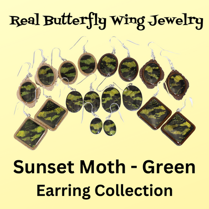 51003 - Real Butterfly Wing Jewelry - Earring Collection - Sunset Moth - Green