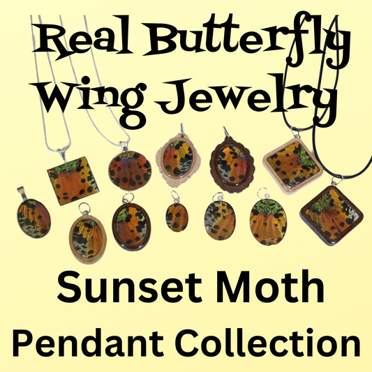 52002 - Real Butterfly Wing Jewelry - Pendant Collection - Sunset Moth - Orange