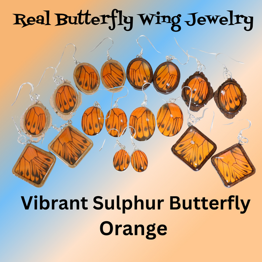 51005 - Real Butterfly Wing Jewelry - Earring Collection - Vibrant Sulphur - Orange