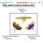 9121651 - Real Bug Acrylic Display Box - 12" X 16" - Grasshopper Trio