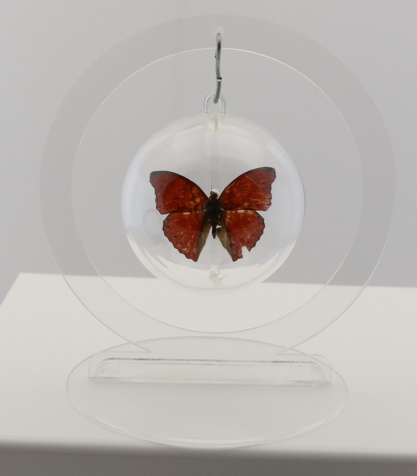 750100 - Butterfly Bubble - Sm. - Round- Red Glider Butterfly
