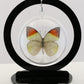 750204 - Butterfly Bubbles - Med. - Round - Great Orange Tip