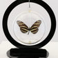 750205 - Butterfly Bubbles - Med. - Round - Zebra Longwing Butterfly