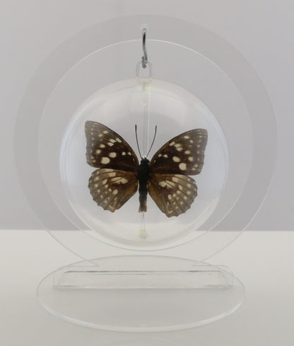 750210 - Butterfly Bubble - Med. - Round - Great Purple Emperor