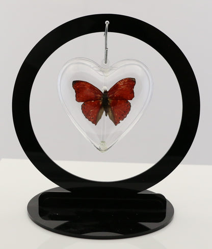 750701 - Butterfly Bubble - Sm. - Heart Shape - Red Glider Butterfly