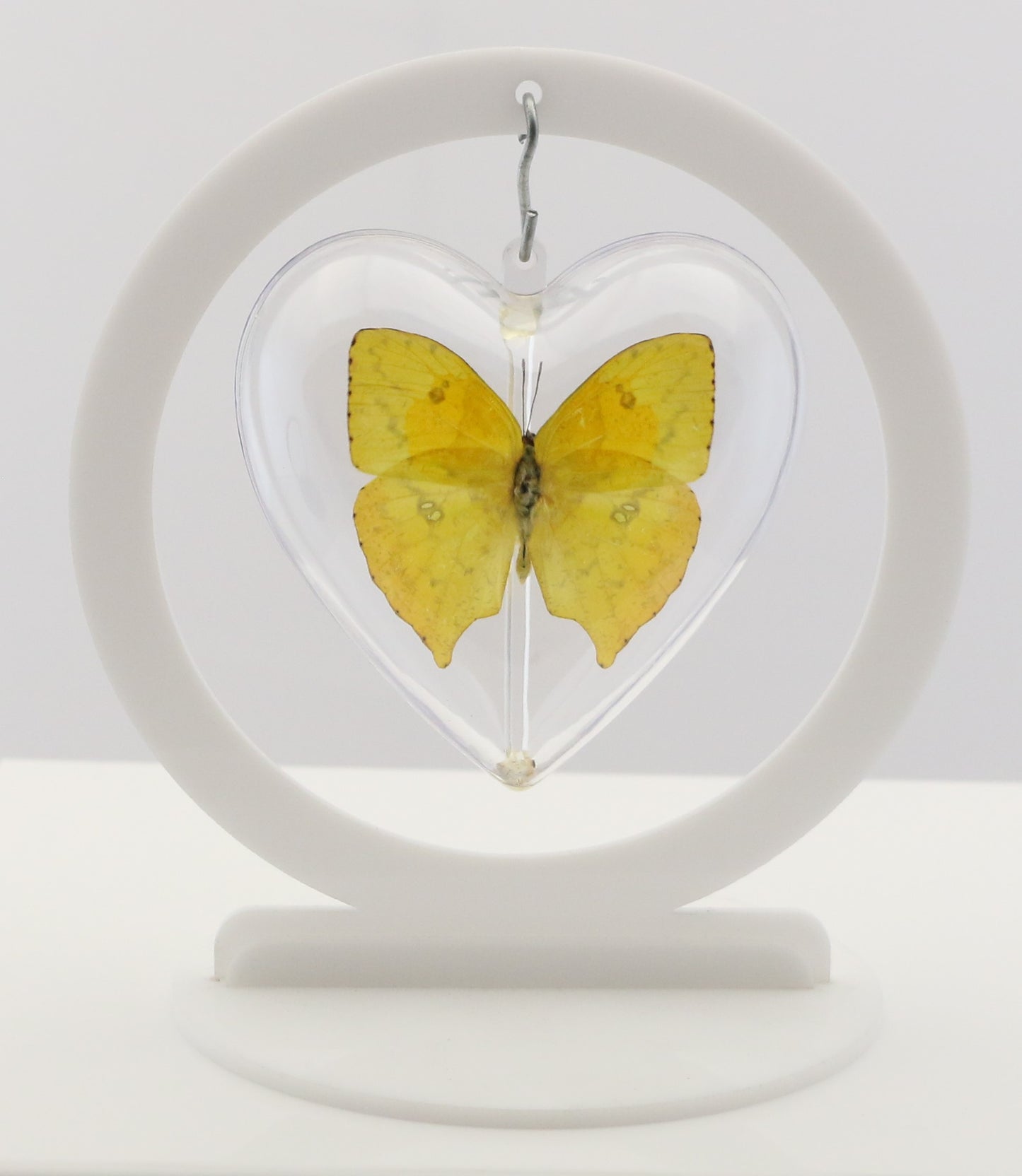 750800 - Butterfly Bubble - Med. - Heart Shape - Tailed Sulphur Butterfly