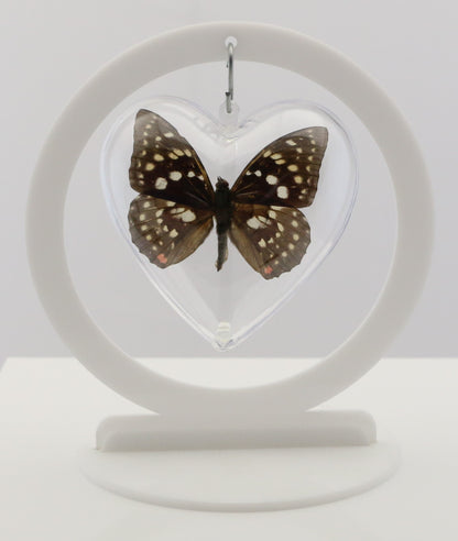 750801 - Butterfly Bubble - Med. - Heart Shape - Great Purple Emperor