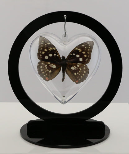 750801 - Butterfly Bubble - Med. - Heart Shape - Great Purple Emperor