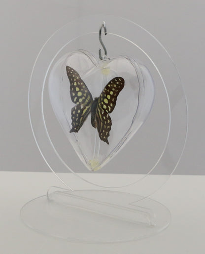 750803 - Butterfly Bubble - Med. - Heart Shape - Tailed Jay / Green-Spotted Triangle