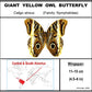 9080805 - Real Butterfly Acrylic Display Box - 8" X 8" - Giant Yellow Owl Butterfly