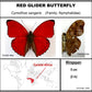 750701 - Butterfly Bubble - Sm. - Heart Shape - Red Glider Butterfly