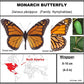 750304 - Butterfly Bubbles - Lg. - Round - Monarch (Danaus plexippus)