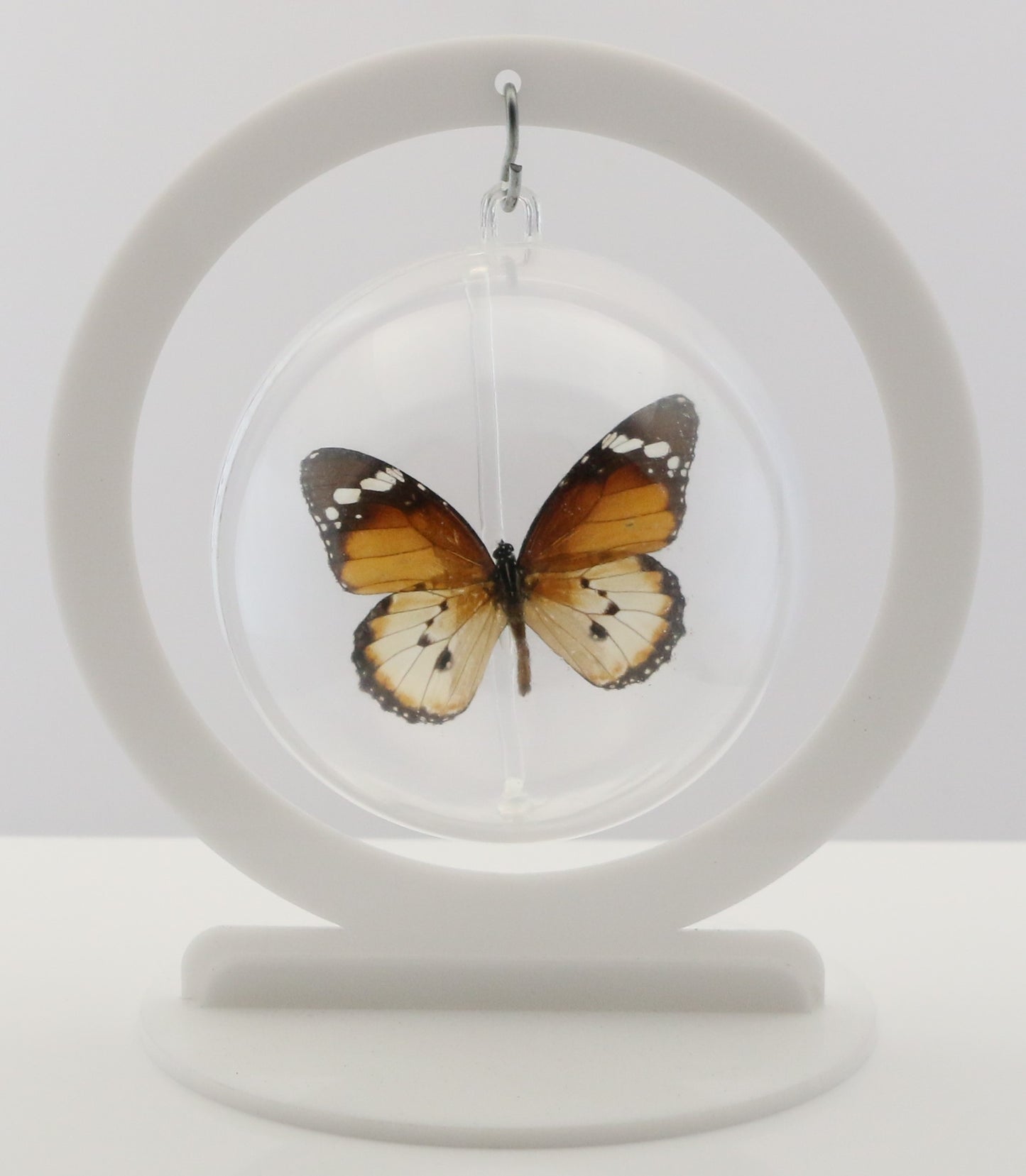 750201 - Butterfly Bubbles - Med. - Round - Plain Tiger Butterfly