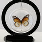 750201 - Butterfly Bubbles - Med. - Round - Plain Tiger Butterfly
