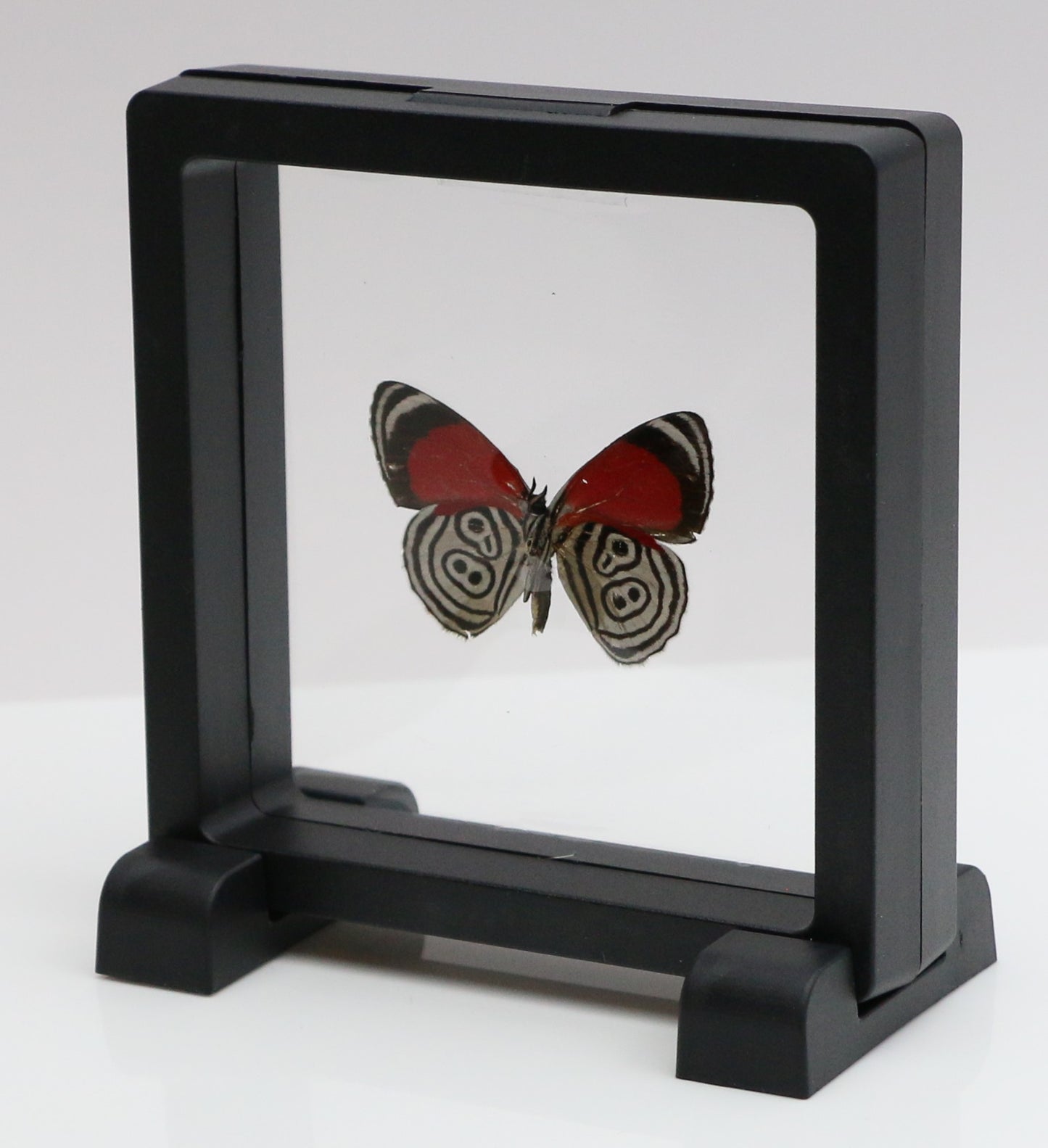780000 - Floating Frame Display - 90x90mm - Black - BD Butterfly
