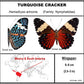 750802 - Butterfly Bubble - Med. - Heart Shape - Turquoise Cracker Butterfly