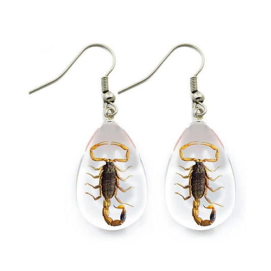 700601 - Real Insects - Earrings - Brown Scorpion