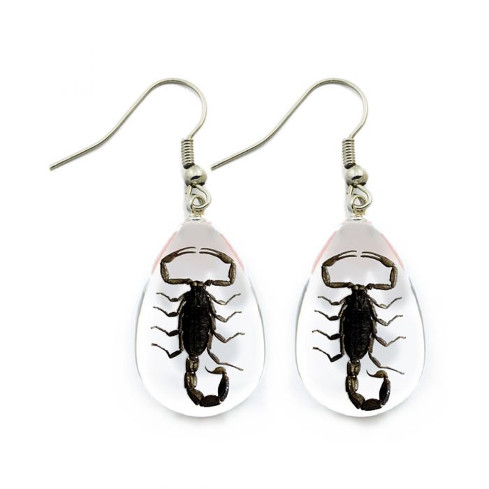 700691 - Real Insect - Earrings - Black Scorpion