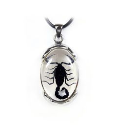 700391 - Black Scorpion Necklace - Silver Metal Trim