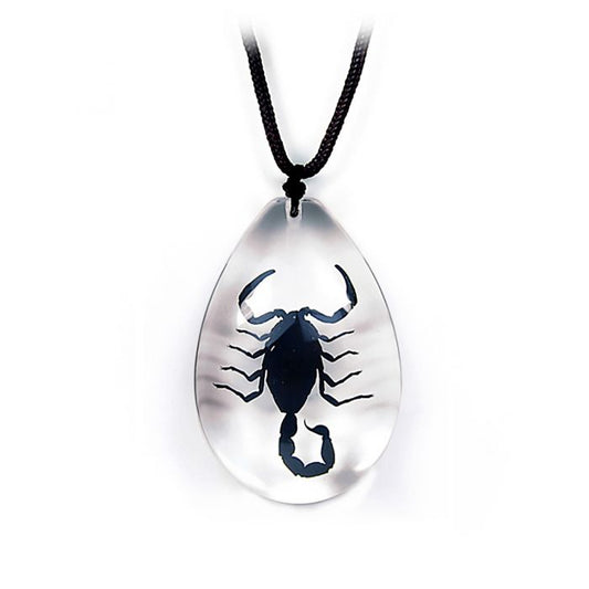 700991 - Real Insect - Necklace - Black Scorpion