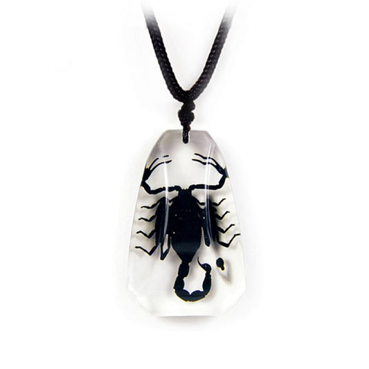 701391 - Real Insect - Necklace - Black Scorpion